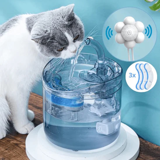 Fontaine à Eau pour Animaux – Image 4