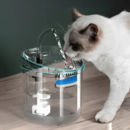 Fontaine à Eau pour Animaux